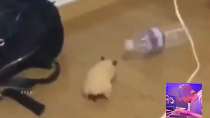 สะดุ้งตื่นมาเห็นโฮชิกำลังเต้นอยู่