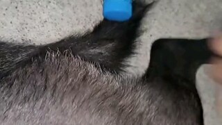 "Adegan Terkenal dalam Membuat Keributan" Lihat yang ini