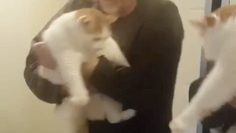 Raise a cat for a thousand days, use it for a moment