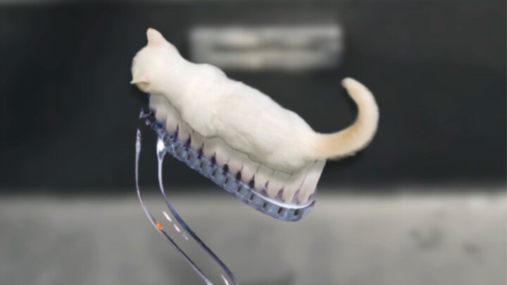 快看！我这牙膏长毛了！！