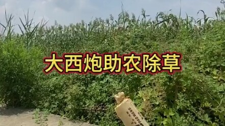 งานนี้คนธรรมดาทำไม่ได้!