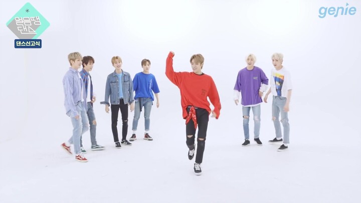 [แปลผิดๆ ซับจีน] OnlyOneOf เต้นคัฟเวอร์โชว์การเปิดตัว + เต้นกับน้ำแข็ง savanna /20190619