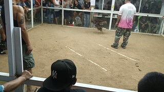 nkauna Pero d nakahuli