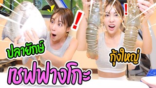 ปลายักษ์VSกุ้งมังกรทำกินเองครั้งแรกในชีวิตจะรอดไหมม??!! | ฟางโกะ 🐵