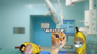 我只是好奇想看手术的样子