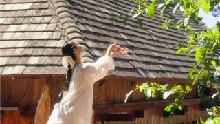 等春天的温柔长满枝头
