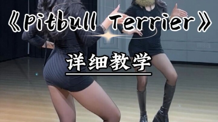 《Pitbull Terrier》Here’s a detailed tutorial for the “Bao Bao Dance”!