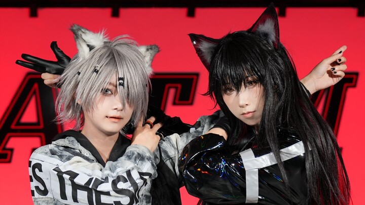 [Texas & Lapland] Hancurkan Hatiku Sendiri [Cosplay Arknights Double Wolf]