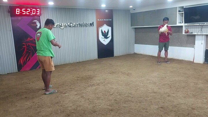 Win doc. white ALAGANG THUNDERBIRD