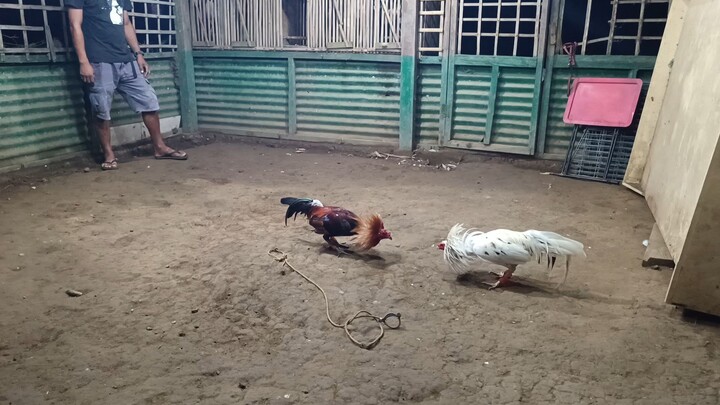 September 10, 2025 sparring exercise