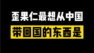 "Compilation" What Chinese specialties do foreigners most want to take back home?