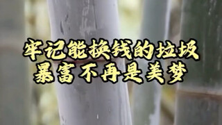 在你眼里这些是垃圾？这全是钱！看见了立马给我捡回来！