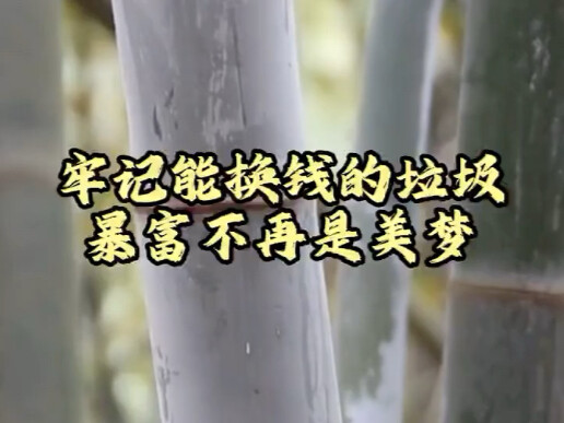 在你眼里这些是垃圾？这全是钱！看见了立马给我捡回来！