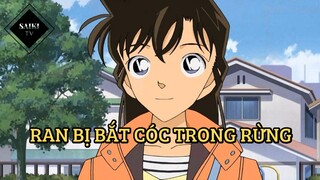 [Thám Tử Lừng Danh Conan] - Ran bị bắt cóc trong rừng - Tập 388