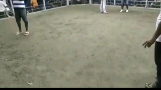 3times winner hatch vs dom