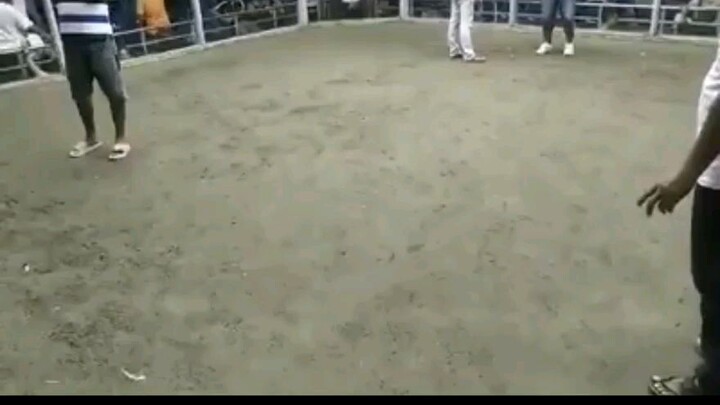 3times winner hatch vs dom
