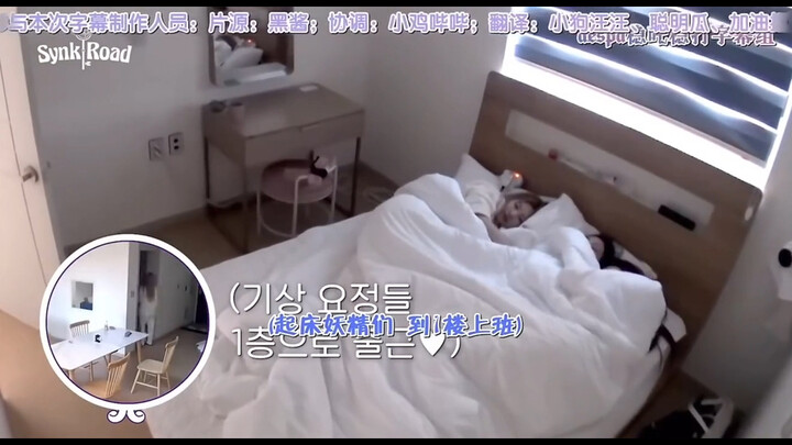 Record of the “Four Little Moms” Snoozing | The Lazy Everyday Life on Their Variety Show
