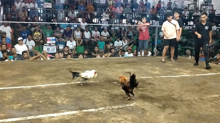 Zapote cockpit 2nd fight loss