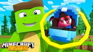 BRAND NEW BABY DRAGONS! - Minecraft Dragons