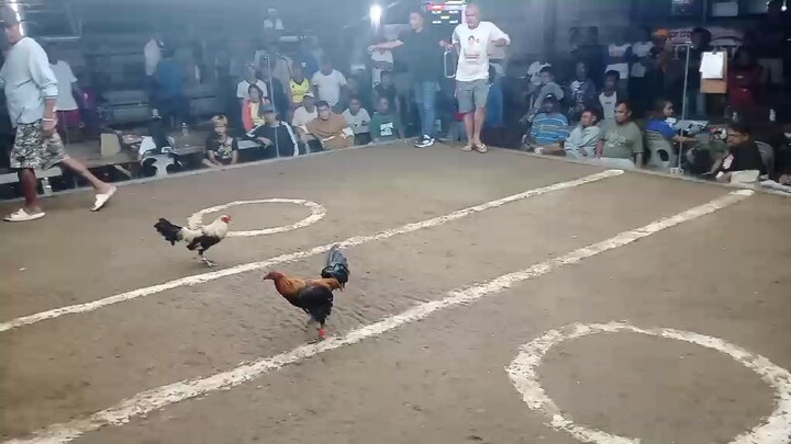 NGCCA 2HITS Ulutan 11/9 2nd Fyt