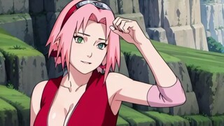 SAKURA DAPAT BUFF BESAR BESARAN DARI AUTHOR