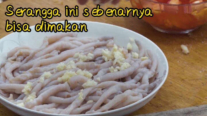 Serangga ini sebenarnya bisa dimakan