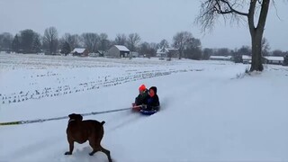 At Least The Helmet DID It's JOB!! 🤣 Funny Driving FAILS _ AFV 2022