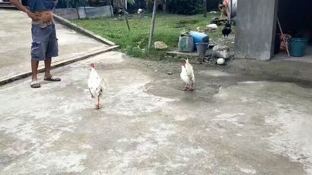 unang bitaw ng mag kapatid