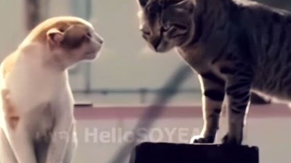 ทำไหมแกถึงได้กินลาบ