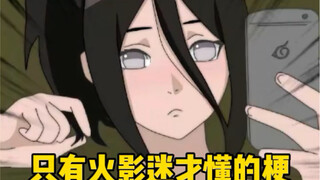 我追了你佐助叔叔五六百集而已！