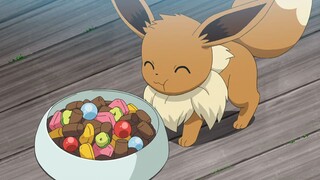 Pokemon Sword and Shield tập 88: Koharu và Ibui, khả năng là vô hạn!