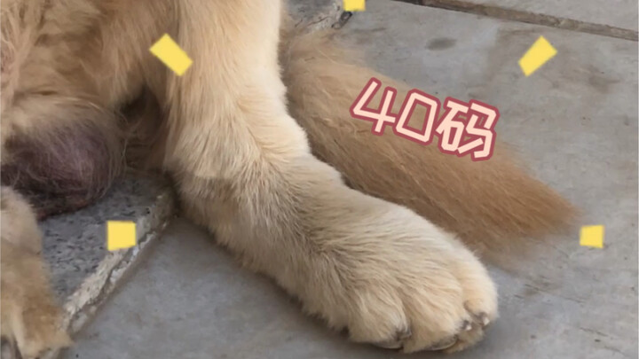 Want to check out size 40 big feet?