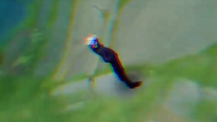 ท่าเดินของผู้แข็งแกร่ง