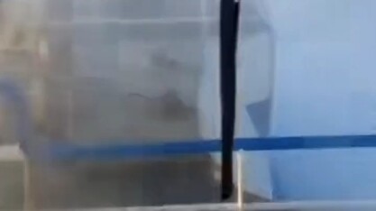 قم بمنشن صديقك الذي يتعلم اللغة الإنجليزية