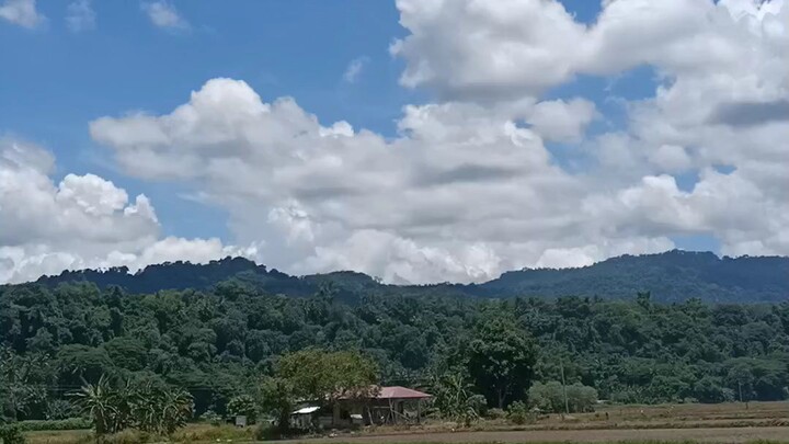Nature trips 💚 #green