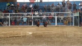 Fastest kill 1 hit ulutan 15k premyo