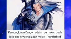 monkey D dragon