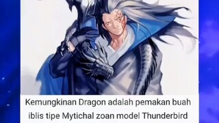 monkey D dragon