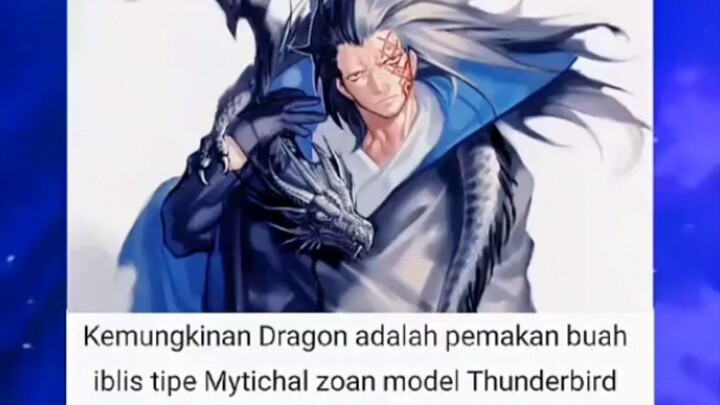 monkey D dragon