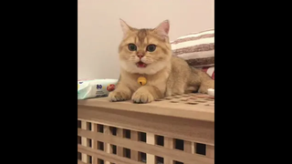 น่ารัก🥰🥰🥰🥰