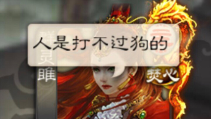 狗  本  人  专  场