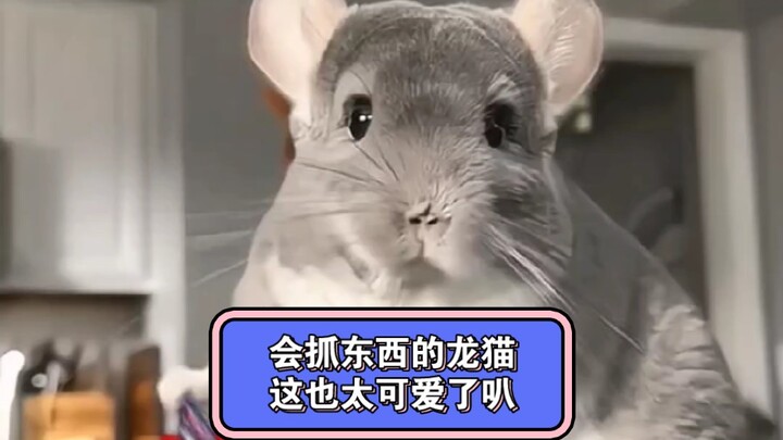 สาวต่างชาติค้นพบว่าโคลนของเธอสามารถใช้ขาจับสิ่งของได้ จึงเริ่มทดลองสารพัดไอเดียสุดแนว น่ารักเกินห้าม