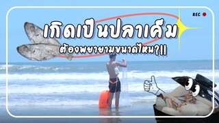 รู้หรือไม่ เป็น ‘ปลาเค็ม’ ต้องพยายามขนาดไหน?!!! [การใช้ชีวิตในฤดูร้อน 30 วิธี]