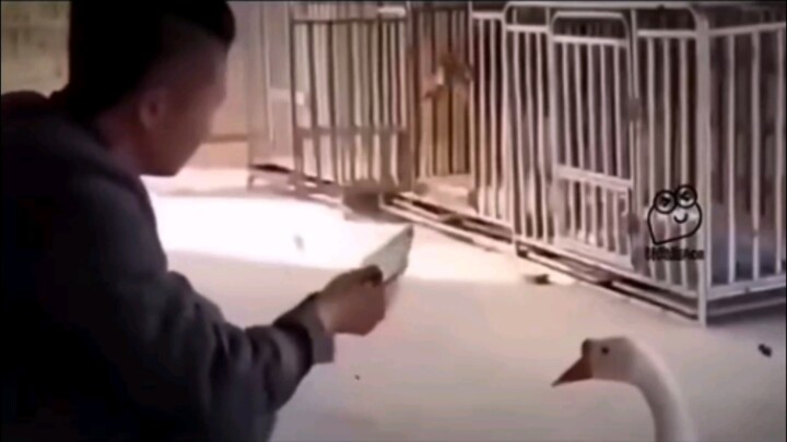 “It’s just a little bit of wind and frost.”