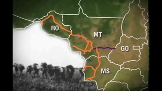 Cândido Rondon e a causa indígena