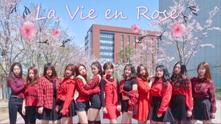 【翰美艺体社】IZONE《 LA VIE EN ROSE》还原度超高全网最慢玫瑰人生翻跳