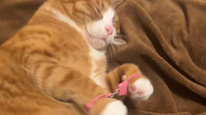 นี่มันเรื่องอะไรกันเนี่ย！？