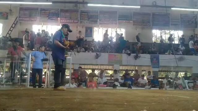 fight 8 win