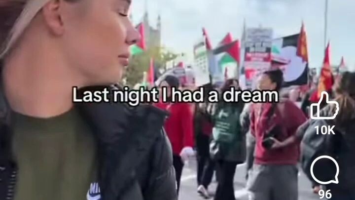 Dana Saleh song for Palestine
