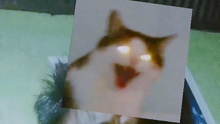 Ikutan Yg Viral 😅